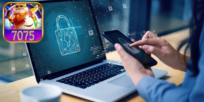 Como o 7075 utiliza as informações coletadas