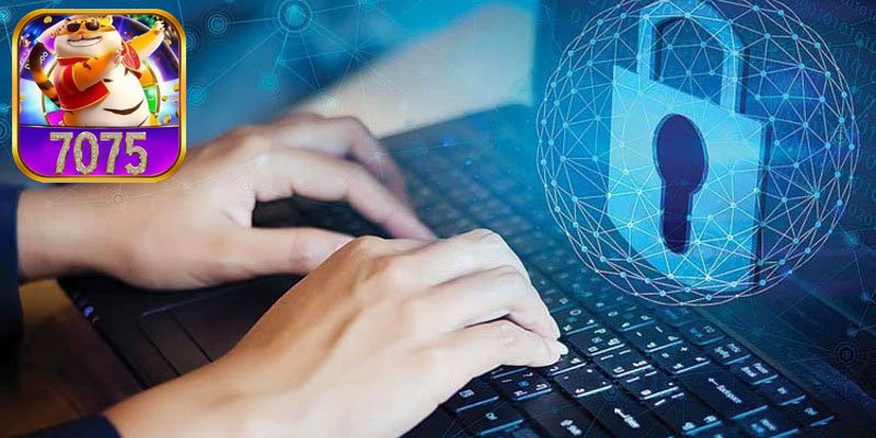 Política de Privacidade 7075: Compromisso com a proteção de dados