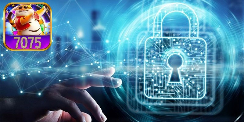 Segurança e confiabilidade do 7075